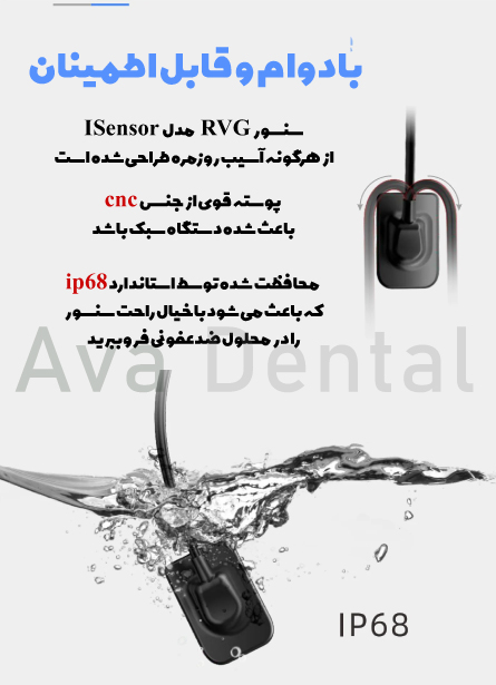 rvg سایز یک و نیم وودپیکر