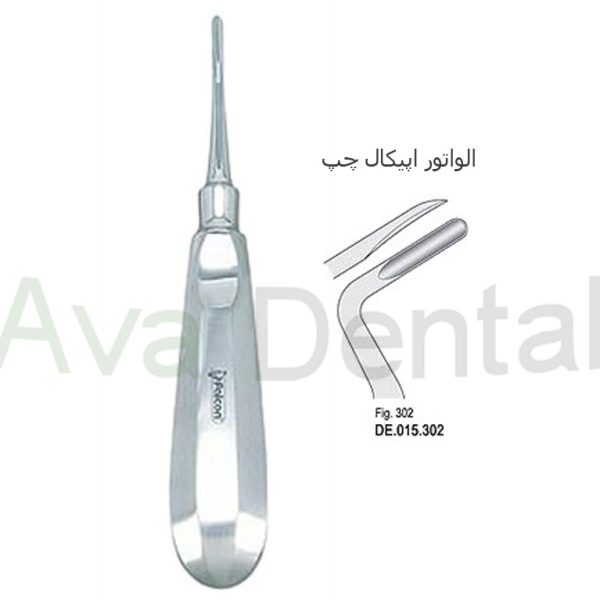 الواتور اپیکال راست مستقیم، چپ | آوادنتال